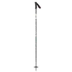 Scott Scott Team Issue SRS Ski Pole - Dark Green
